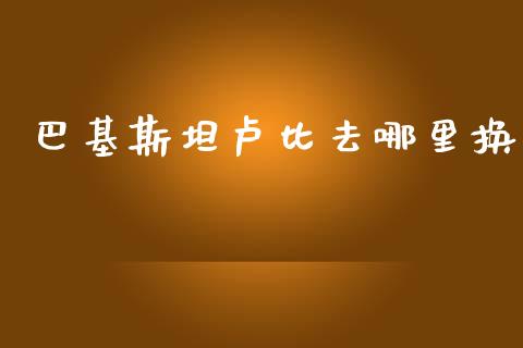 巴基斯坦卢比去哪里换_https://wap.sdxiaoxijinshu.com_财经_第1张