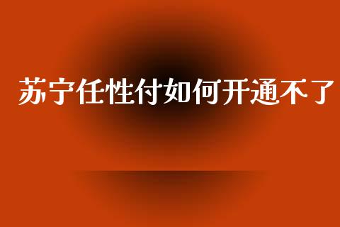 苏宁任性付如何开通不了_https://wap.sdxiaoxijinshu.com_理财_第1张