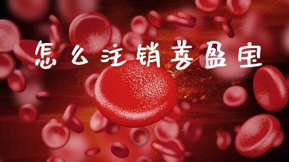 怎么注销善盈宝_https://wap.sdxiaoxijinshu.com_期货_第1张