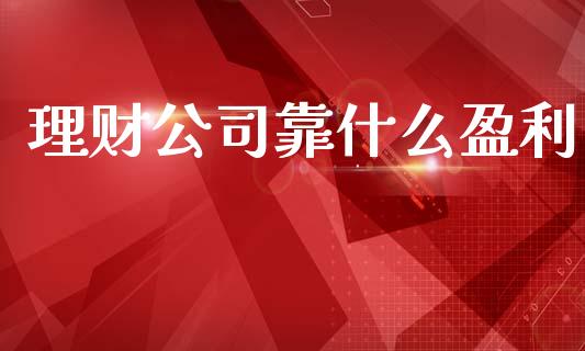 理财公司靠什么盈利_https://wap.sdxiaoxijinshu.com_期货_第1张