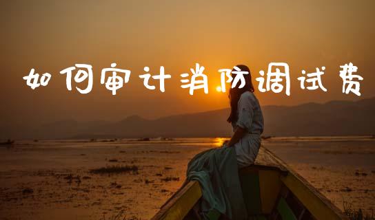 如何审计消防调试费_https://wap.sdxiaoxijinshu.com_理财_第1张