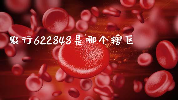 农行622848是哪个辖区_https://wap.sdxiaoxijinshu.com_理财_第1张