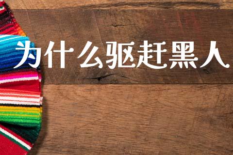 为什么驱赶黑人_https://wap.sdxiaoxijinshu.com_期货_第1张