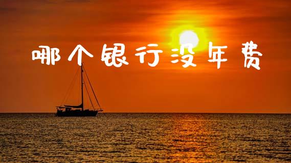 哪个银行没年费_https://wap.sdxiaoxijinshu.com_期货_第1张
