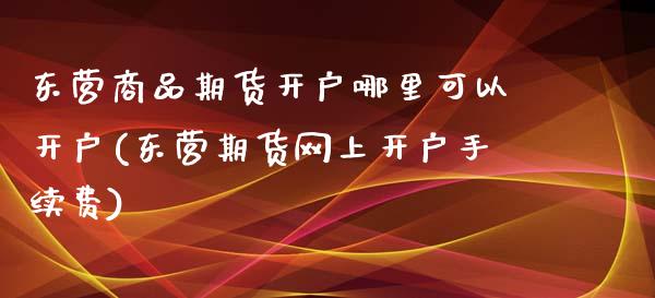 东营商品期货开户哪里可以开户(东营期货网上开户手续费)_https://wap.sdxiaoxijinshu.com_期货_第1张