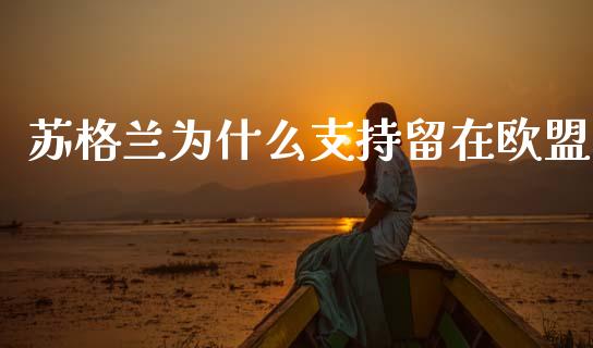 苏格兰为什么支持留在欧盟_https://wap.sdxiaoxijinshu.com_财经_第1张