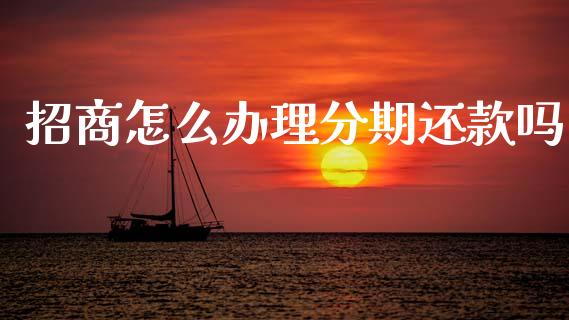 招商怎么办理分期还款吗_https://wap.sdxiaoxijinshu.com_金融_第1张
