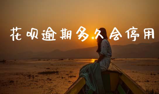 花呗逾期多久会停用_https://wap.sdxiaoxijinshu.com_理财_第1张