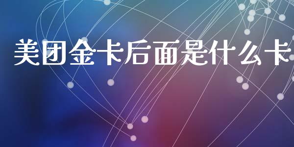 美团金卡后面是什么卡_https://wap.sdxiaoxijinshu.com_金融_第1张