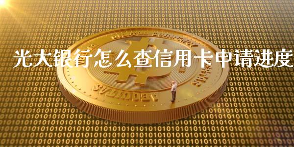 光大银行怎么查信用卡申请进度_https://wap.sdxiaoxijinshu.com_金融_第1张