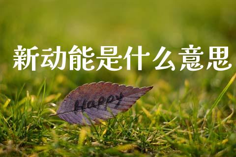 新动能是什么意思_https://wap.sdxiaoxijinshu.com_期货_第1张