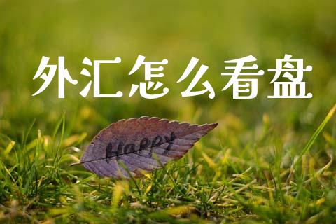 外汇怎么看盘_https://wap.sdxiaoxijinshu.com_财经_第1张