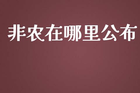 非农在哪里公布_https://wap.sdxiaoxijinshu.com_财经_第1张