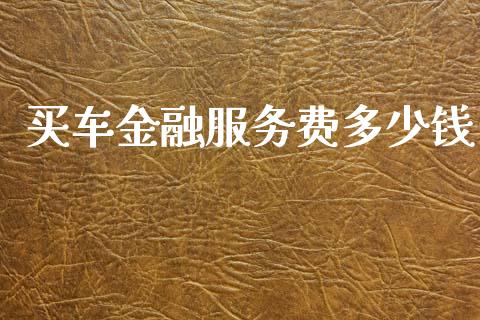 买车金融服务费多少钱_https://wap.sdxiaoxijinshu.com_理财_第1张