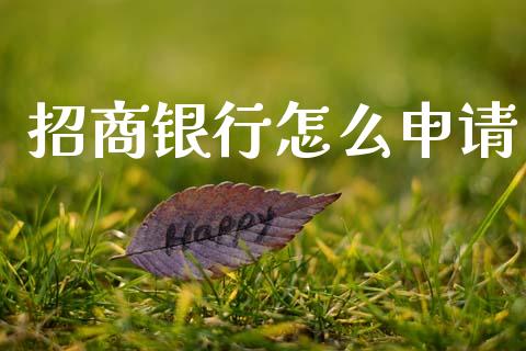 招商银行怎么申请_https://wap.sdxiaoxijinshu.com_金融_第1张