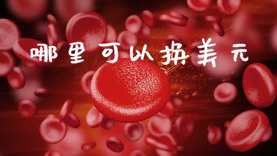 哪里可以换美元_https://wap.sdxiaoxijinshu.com_财经_第1张