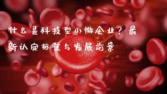 什么是科技型小微企业？最新认定标准与发展前景_https://wap.sdxiaoxijinshu.com_金融_第1张