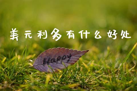 美元利多有什么好处_https://wap.sdxiaoxijinshu.com_财经_第1张