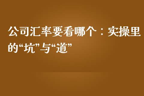 公司汇率要看哪个：实操里的“坑”与“道”_https://wap.sdxiaoxijinshu.com_金融_第1张