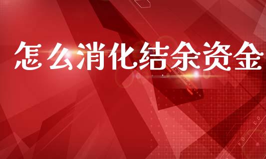 怎么消化结余资金_https://wap.sdxiaoxijinshu.com_金融_第1张