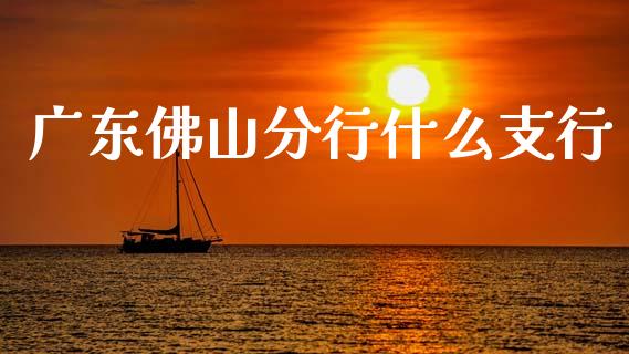 广东佛山分行什么支行_https://wap.sdxiaoxijinshu.com_金融_第1张
