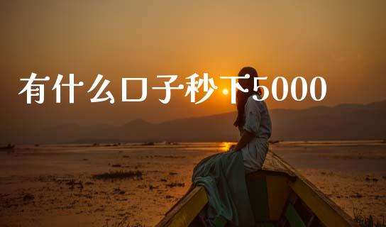 有什么口子秒下5000_https://wap.sdxiaoxijinshu.com_理财_第1张