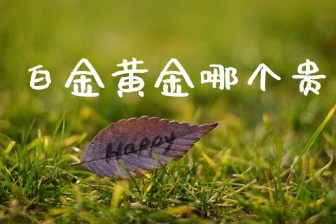 白金黄金哪个贵_https://wap.sdxiaoxijinshu.com_理财_第1张
