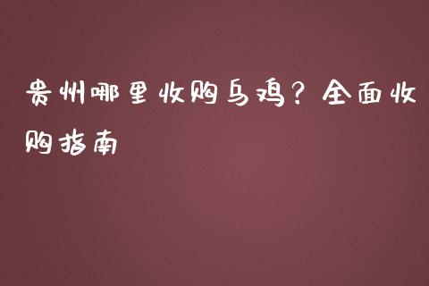 贵州哪里收购乌鸡？全面收购指南_https://wap.sdxiaoxijinshu.com_财经_第1张