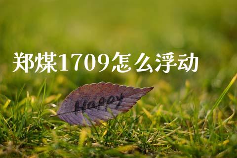 郑煤1709怎么浮动_https://wap.sdxiaoxijinshu.com_期货_第1张