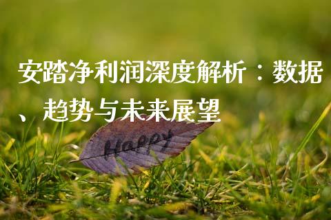 安踏净利润深度解析：数据、趋势与未来展望_https://wap.sdxiaoxijinshu.com_期货_第1张