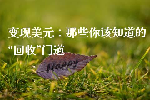 变现美元：那些你该知道的“回收”门道_https://wap.sdxiaoxijinshu.com_理财_第1张