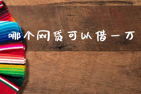 哪个网贷可以借一万_https://wap.sdxiaoxijinshu.com_理财_第1张