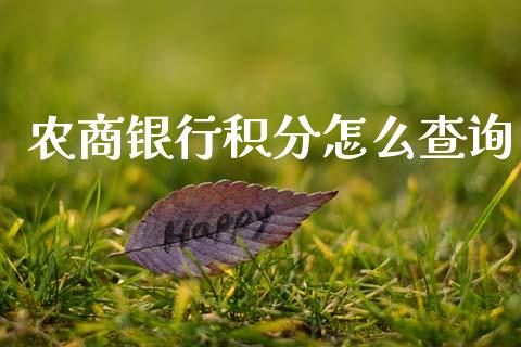 农商银行积分怎么查询_https://wap.sdxiaoxijinshu.com_金融_第1张