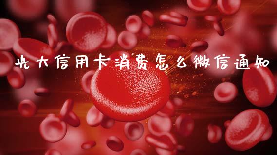 光大信用卡消费怎么微信通知_https://wap.sdxiaoxijinshu.com_财经_第1张
