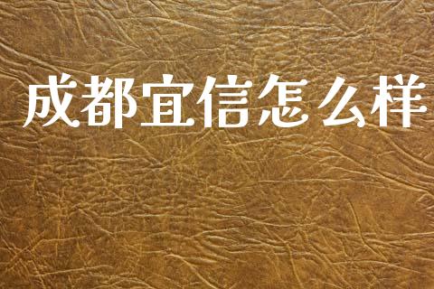 成都宜信怎么样_https://wap.sdxiaoxijinshu.com_理财_第1张
