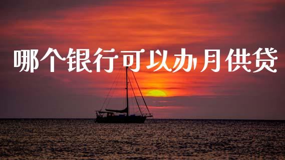 哪个银行可以办月供贷_https://wap.sdxiaoxijinshu.com_理财_第1张