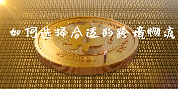 如何选择合适的跨境物流_https://wap.sdxiaoxijinshu.com_金融_第1张