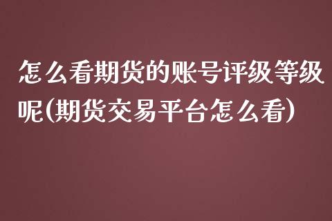 怎么看期货的账号评级等级呢(期货交易平台怎么看)_https://wap.sdxiaoxijinshu.com_金融_第1张