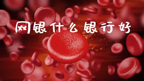 网银什么银行好_https://wap.sdxiaoxijinshu.com_金融_第1张