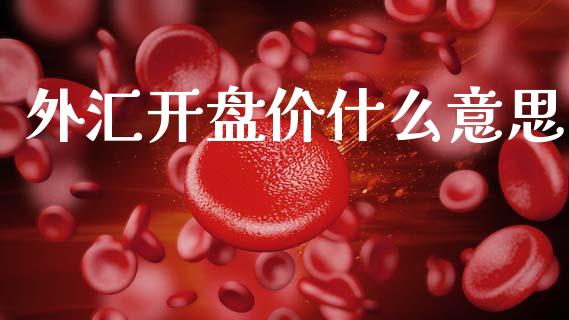 外汇开盘价什么意思_https://wap.sdxiaoxijinshu.com_财经_第1张