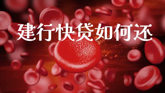 建行快贷如何还_https://wap.sdxiaoxijinshu.com_理财_第1张