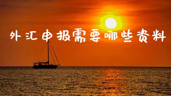 外汇申报需要哪些资料_https://wap.sdxiaoxijinshu.com_财经_第1张