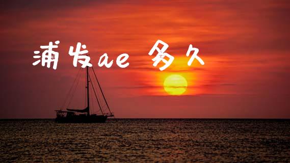 浦发ae 多久_https://wap.sdxiaoxijinshu.com_理财_第1张