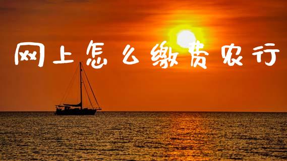 网上怎么缴费农行_https://wap.sdxiaoxijinshu.com_金融_第1张