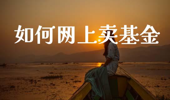 如何网上卖基金_https://wap.sdxiaoxijinshu.com_理财_第1张