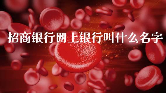 招商银行网上银行叫什么名字_https://wap.sdxiaoxijinshu.com_金融_第1张