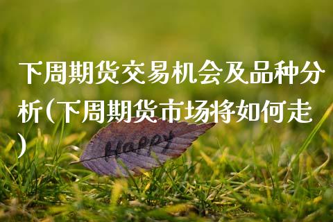 下周期货交易机会及品种分析(下周期货市场将如何走)_https://wap.sdxiaoxijinshu.com_理财_第1张