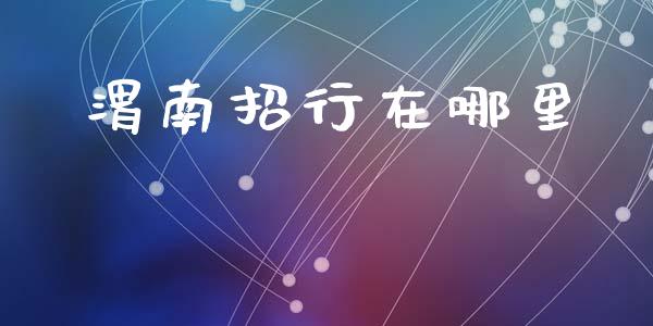 渭南招行在哪里_https://wap.sdxiaoxijinshu.com_理财_第1张