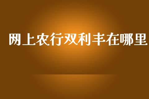 网上农行双利丰在哪里_https://wap.sdxiaoxijinshu.com_理财_第1张