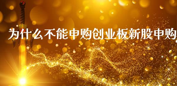 为什么不能申购创业板新股申购_https://wap.sdxiaoxijinshu.com_理财_第1张
